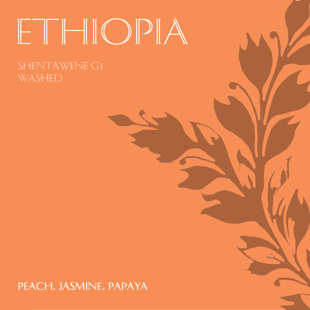 Ethiopia Shentawene Washed G1